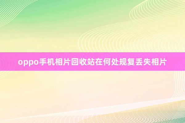 oppo手机相片回收站在何处规复丢失相片